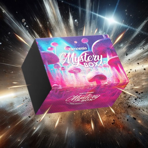 Tajemná krabička s magickými lanýži (Zamnesia)