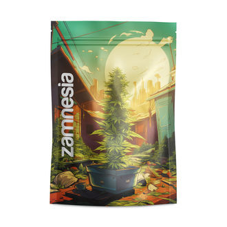 Saint Andreas sáčky Z-Lock (velké)