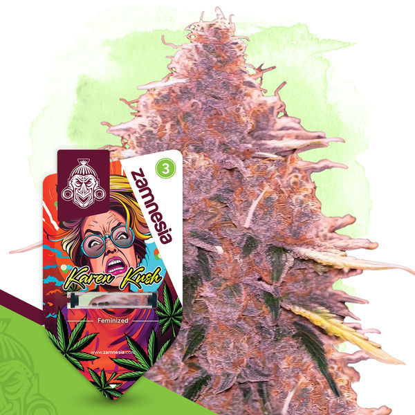 Karen Kush (Zamnesia Seeds) feminizovaná