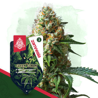 Green Goblin (Zamnesia Seeds) feminizovan&aacute;