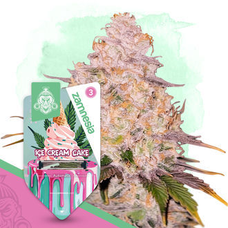 Ice Cream Cake Samonakv&eacute;tac&iacute; (Zamnesia Seeds) feminizovan&aacute;