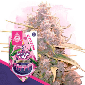 Birthday Cake Samonakv&eacute;tac&iacute; (Zamnesia Seeds) feminizovan&aacute;