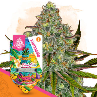 LA Kush Cake (Zamnesia Seeds) feminizovan&aacute;
