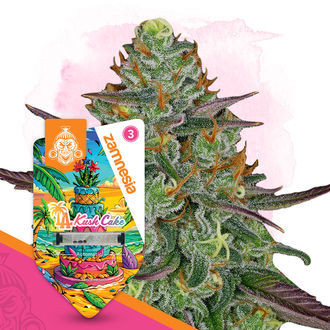 LA Kush Cake Samonakvétací (Zamnesia Seeds) feminizovaná