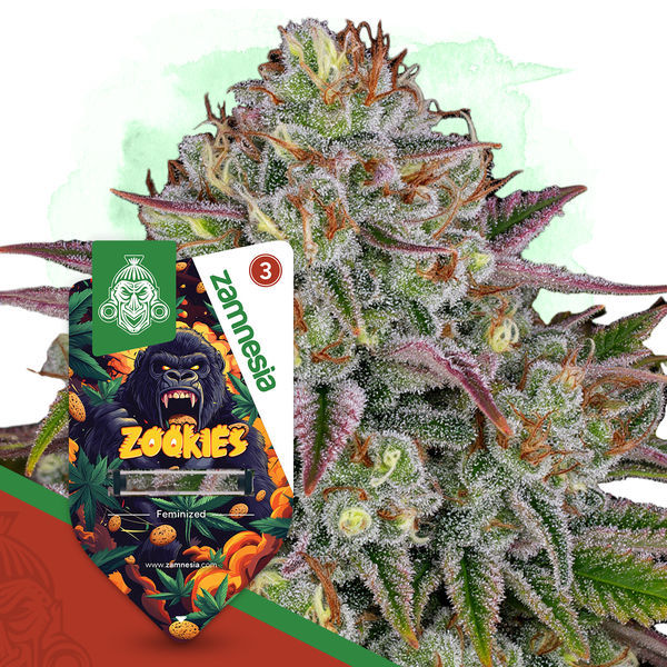 Zookies (Zamnesia Seeds) feminizovaná