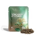 Voacanga africana (5 gramů)