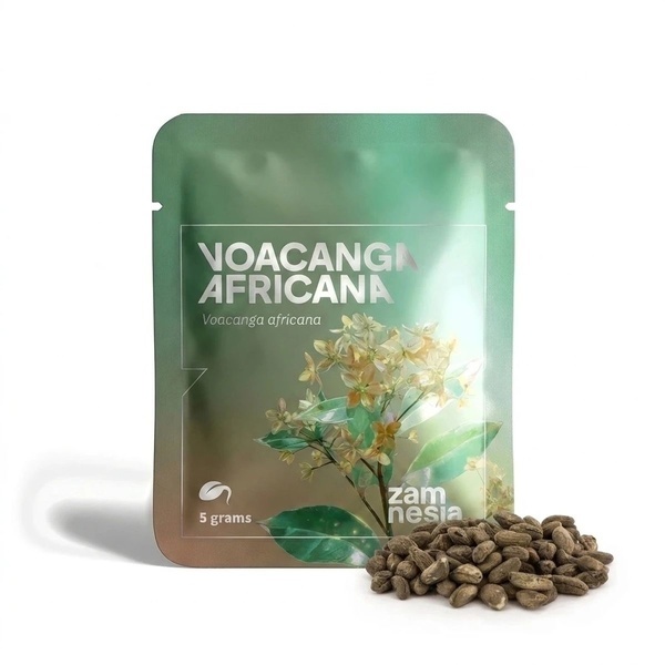 Voacanga africana (5 gramů)