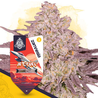 Jet Fuel (Zamnesia Seeds) feminizovan&eacute;