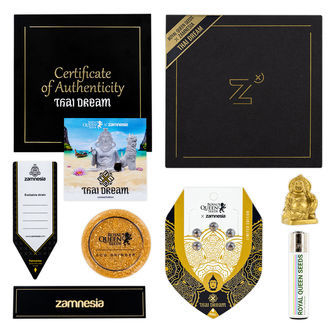 Thai Dream (Royal Queen Seeds x Zamnesia) feminizovan&aacute;