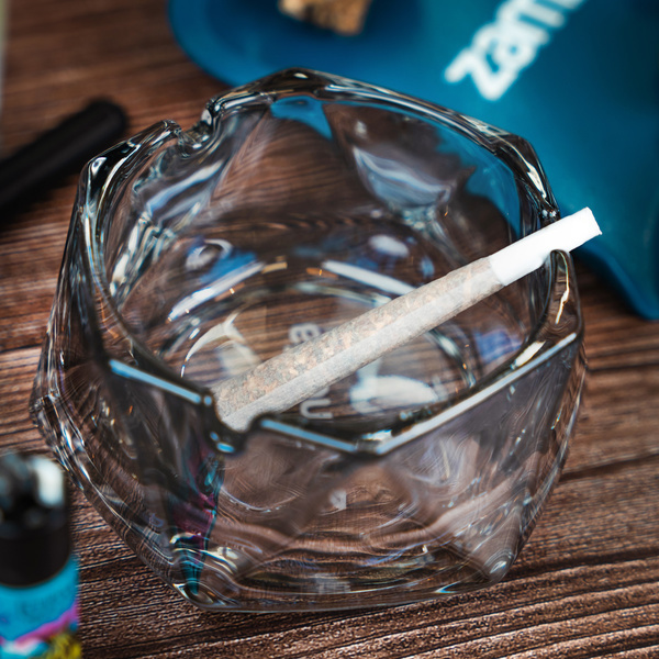 Skleněný popelník (Zamnesia)