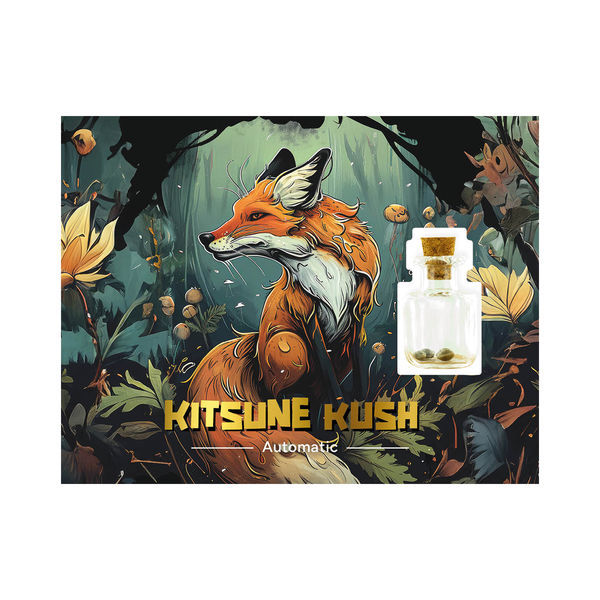 Kitsune Kush Samonakvétací (Zamnesia Seeds) feminizovaná
