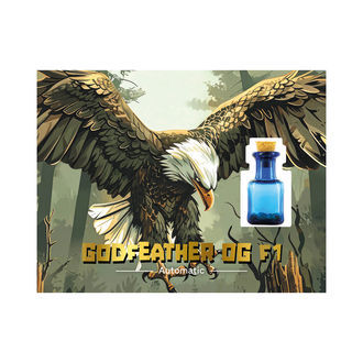 Godfeather OG F1 Samonakvétací (Zamnesia Seeds) feminizovaná