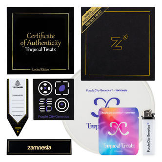 Tropical Treatz (Purple City Genetics x Zamnesia Seeds) feminizovan&aacute;