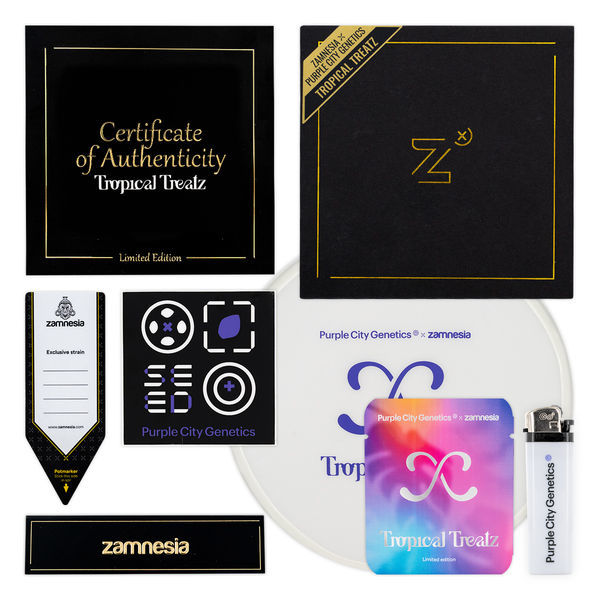 Tropical Treatz (Purple City Genetics x Zamnesia Seeds) feminizovaná