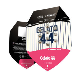 Gelato 44 (Royal Queen Seeds) feminizovaná