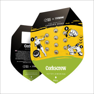 Corkscrew Samonakvétací (Royal Queen Seeds) Feminizovaná