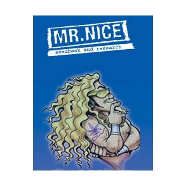 NL5 x Afghan (Mr. Nice) regulérní