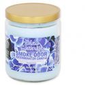Svíčka Blue Serenity (Smoke Odor Exterminator)