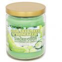 Svíčka Cool Cucumber & Honeydew (Smoke Odor Exterminator)