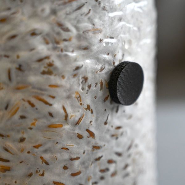 Samolepicí injekční porty, balení 50 ks (Microppose)