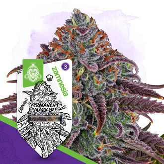 Permanent Marker (Zamnesia Seeds) feminizovan&eacute;