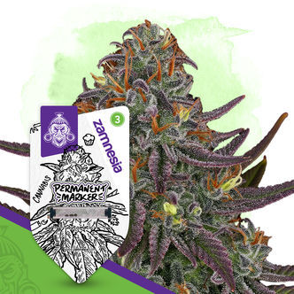 Permanent Marker Samonakv&eacute;tac&iacute; (Zamnesia Seeds)