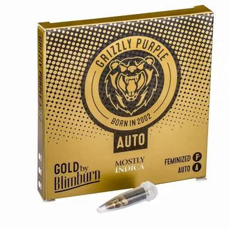 Grizzly Purple Samonakv&eacute;tac&iacute; (Blimburn Seeds) feminizovan&aacute;