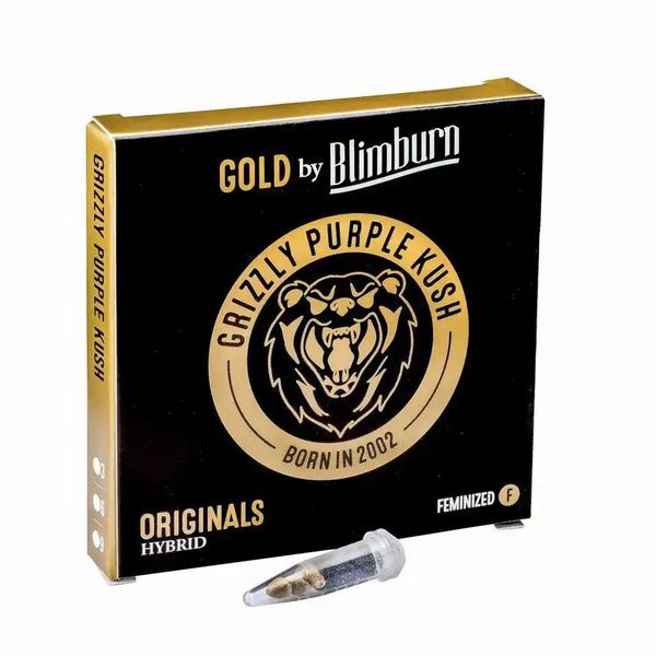 Grizzly Purple Kush (Blimburn Seeds) feminizovaná