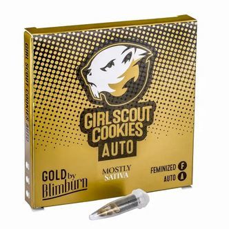 Girl Scout Cookies Auto (Blimburn Seeds) feminizovan&aacute;