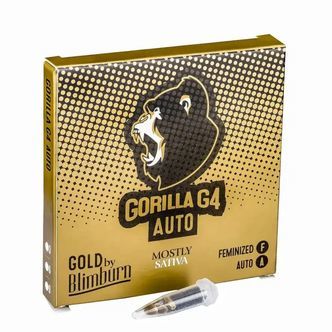 GG#4 Auto (Blimburn Seeds) feminizovan&aacute;