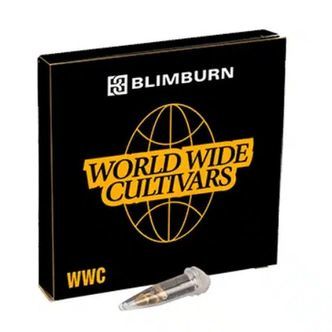 Bubble Gum Sherb (Blimburn Seeds) feminizovan&aacute;