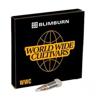 Bubble Gum Sherb (Blimburn Seeds) feminizovan&aacute;