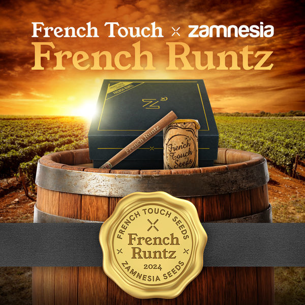 French Runtz (French Touch Seeds x Zamnesia Seeds) feminizovaná