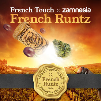 French Runtz (French Touch Seeds x Zamnesia Seeds) feminizovaná