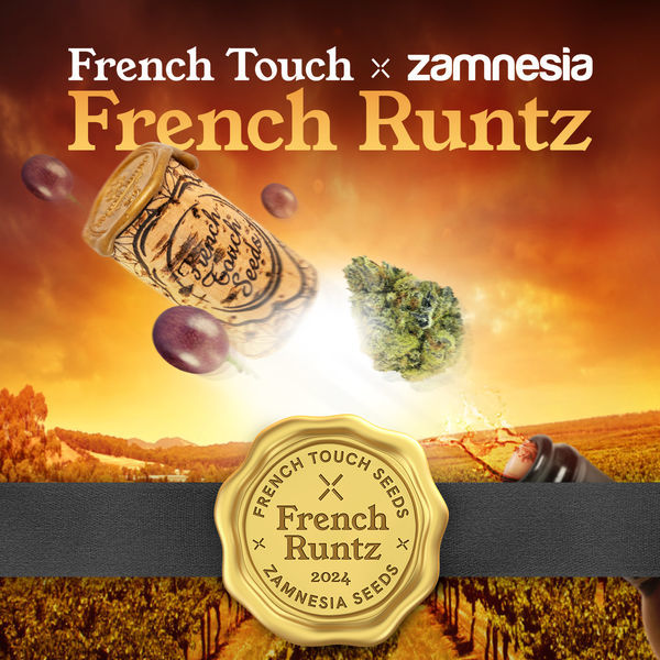 French Runtz (French Touch Seeds x Zamnesia Seeds) feminizovaná