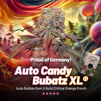 Auto Candy Bubatz XL (Dutch Passion) feminizovaná