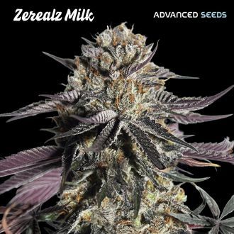 Zerealz Milk (Advanced Seeds) feminizovan&aacute;