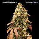 Samonakvétací Rainbow Sherbet 11 (Advanced Seeds) Feminizovaná