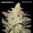 Rainbow Sherbet #11 (Advanced Seeds) feminizovaná
