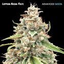 Lemon Bean Fast (Advanced Seeds) feminizovaná