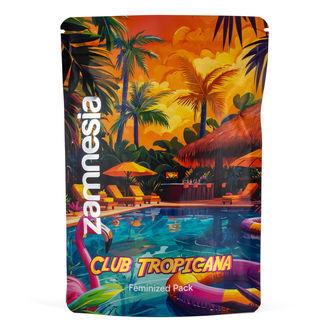 Club Tropicana Pack &ndash; feminizovan&eacute; odrůdy