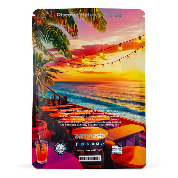 Club Tropicana Pack – feminizované odrůdy