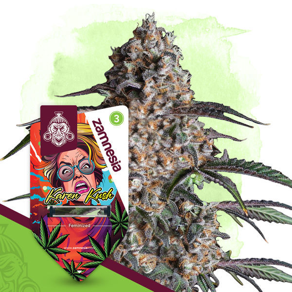 Balíček Wild Things – feminizované odrůdy