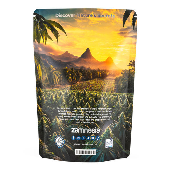 Landrace Pack – feminizované odrůdy