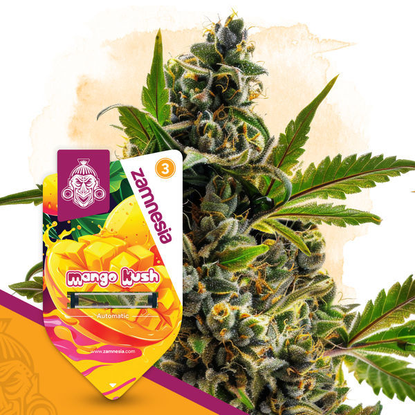 Club Tropicana balíček – samonakvétací odrůdy