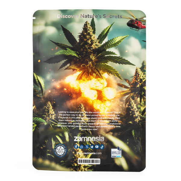 The F1 Power Pack - F1 hybridní semena