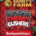 Black Cherry Gushers (Barney's Farm x Backpackboyz) feminizovaná
