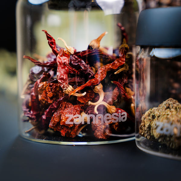 Sklenice VacuFresh (Zamnesia)