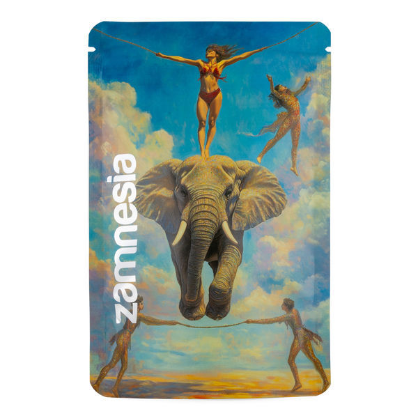 TranceLucid sáček Z-Lock (střední)