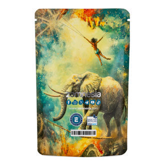 TranceLucid sáček Z-Lock (střední)